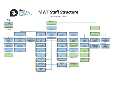 Staff Structure Chart - January 2026