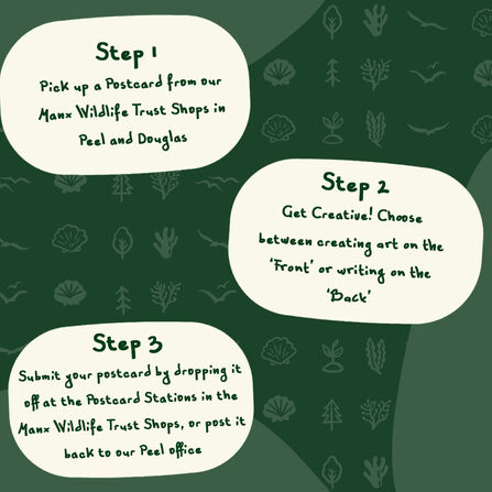 Instructions for how to get involved in the Postcard Project, which are also listed in the main text