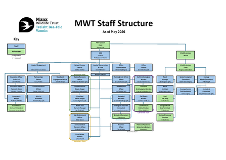 Staff Structure Chart - June 2026