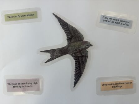Swift Game