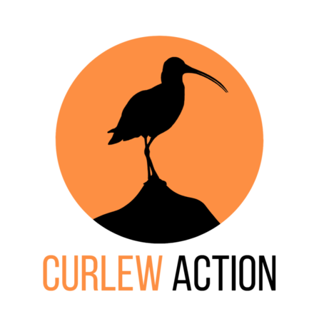 cropped-Curlew-Action-Logo