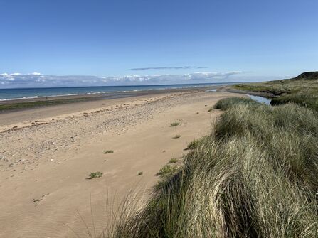 Cronk y Bing National Nature Reserves sand dunes, river mouth and beach