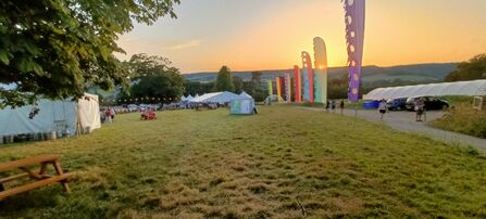 The Big Wild Gathering arena
