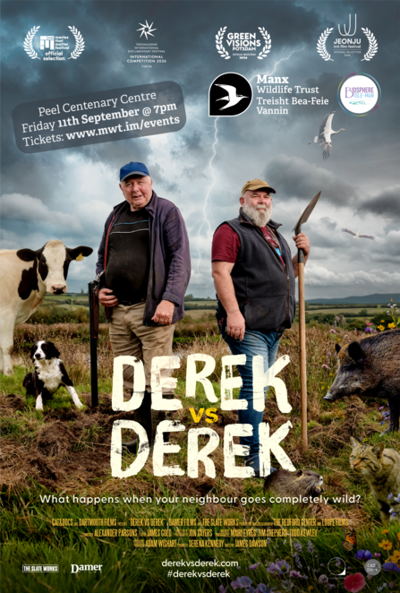 Derek Vs Derek poster