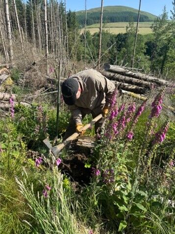 Fence Building