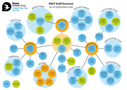 Staff Structure Chart as of September 2026