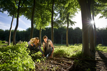 Nature wellness