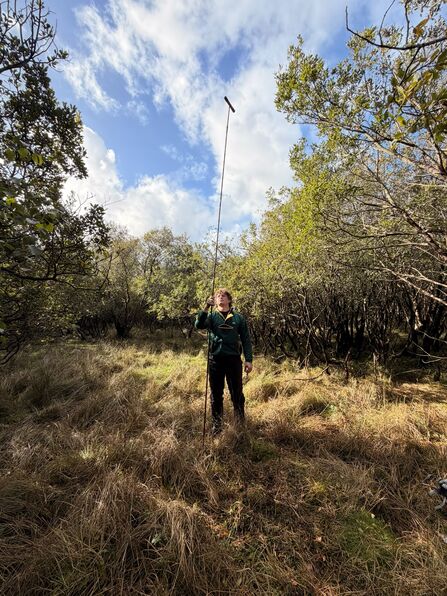 Charlie Peatland Mapping
