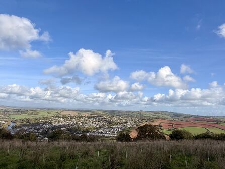 Image taken from Bowden Pillars of Totness. 