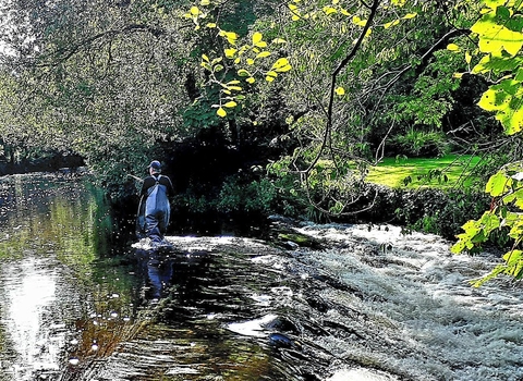 Fly fishing