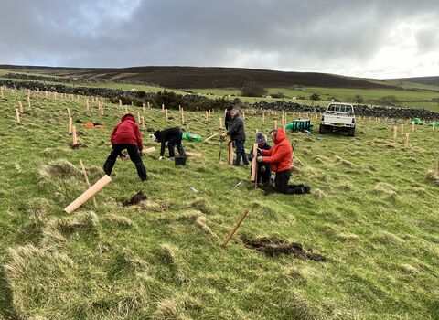 People planting trees