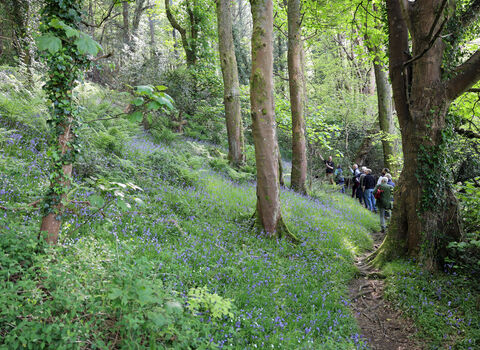 Andree leading a walk through HWP