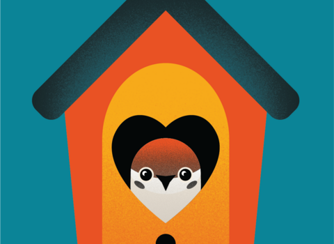 A tree sparrow in a bird box with a heart shaped hole