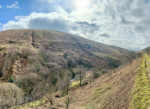 A hillside path through Glen Auldyn, going past hills covered with grass and some trees