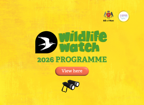 Wildlife Watch spotlight