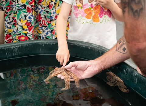 A volunteer at Festival of the Sea