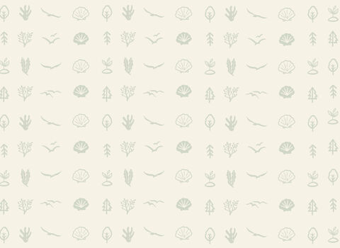 Background Cream Postcard