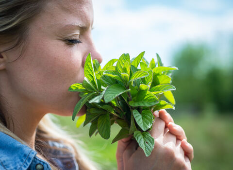 Nature and wellbeing