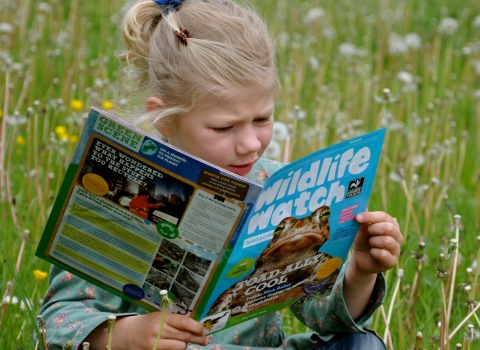 Girl reading Wildlife Watch